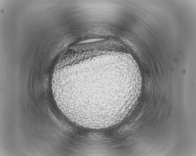 X0000088020451200706011328