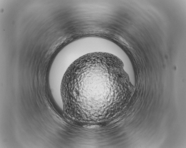 X0000088020452200706011328