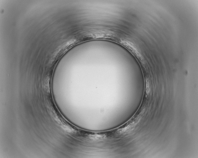 X0000088020453200706011328