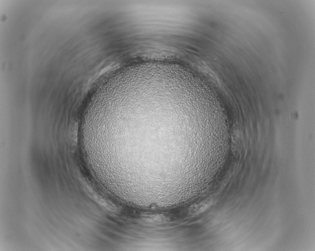 X0000088020454200706011328