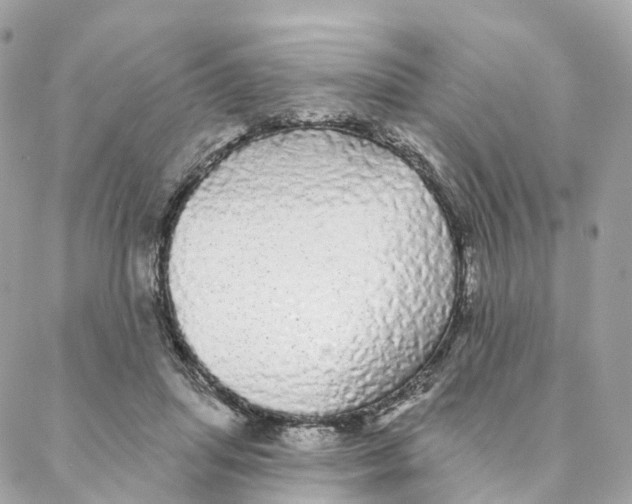 X0000088020455200706011328