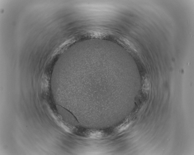 X0000088020456200706011328