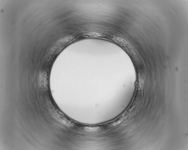 X0000088020457200706011328