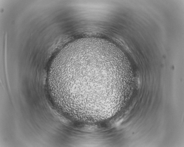 X0000088020458200706011328