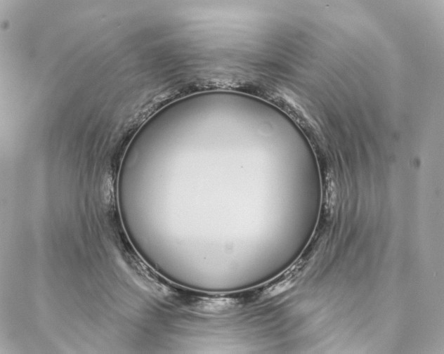 X0000088020459200706011328