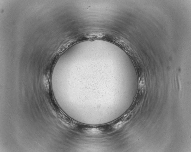 X0000088020460200706011328