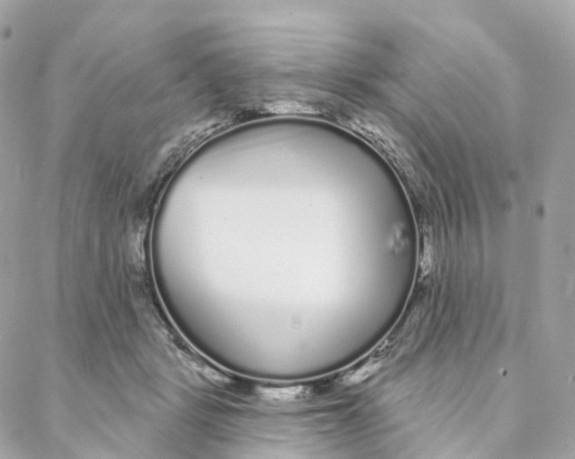 X0000088020461200706011328