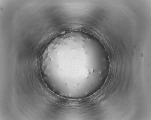 X0000088020462200706011328