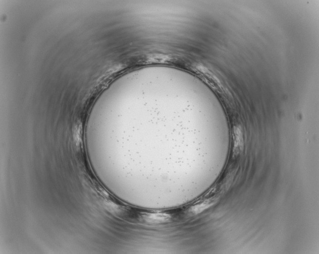 X0000088020463200706011328