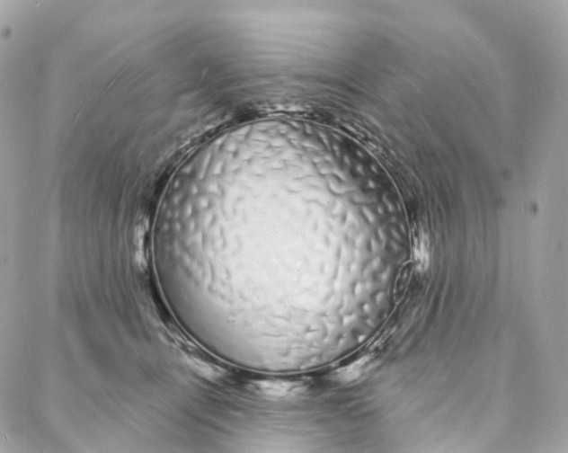 X0000088020464200706011328