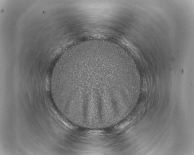 X0000088020465200706011329