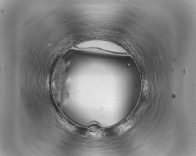 X0000088020466200706011329