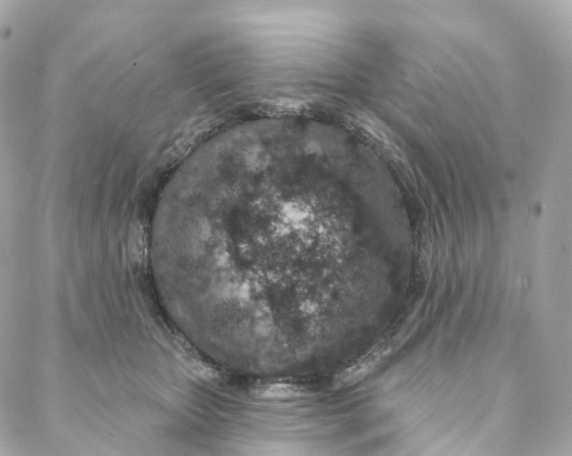 X0000088020467200706011329