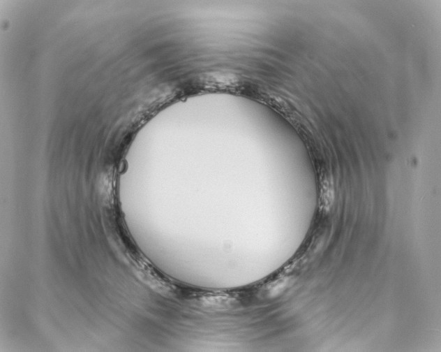 X0000088020468200706011329