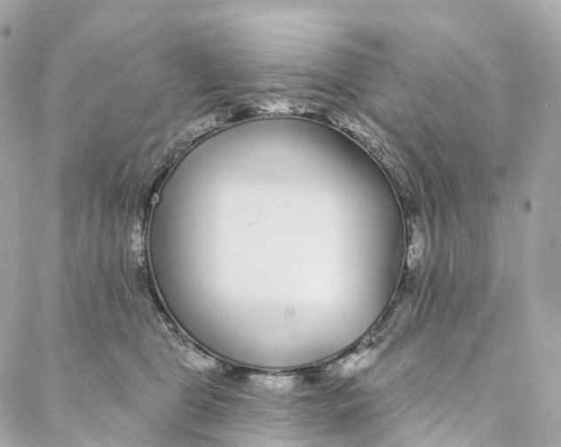 X0000088020469200706011329