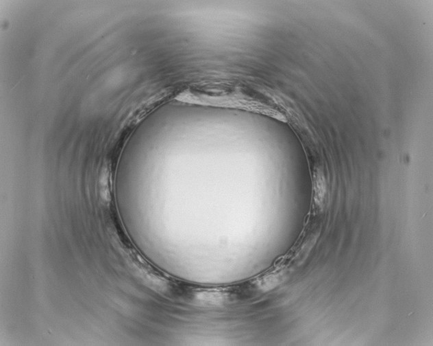 X0000088020470200706011329