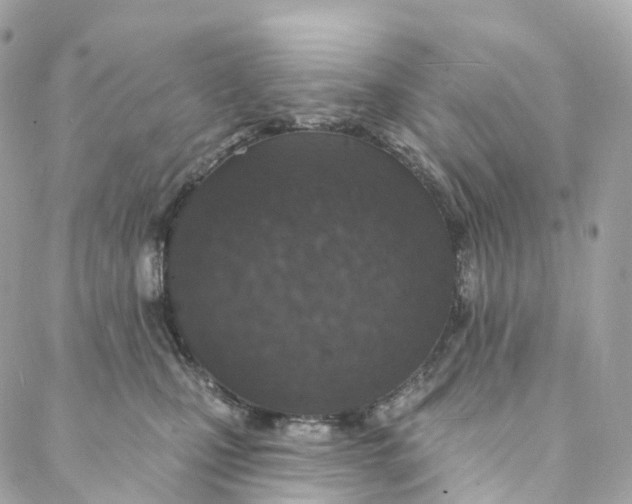 X0000088020471200706011329