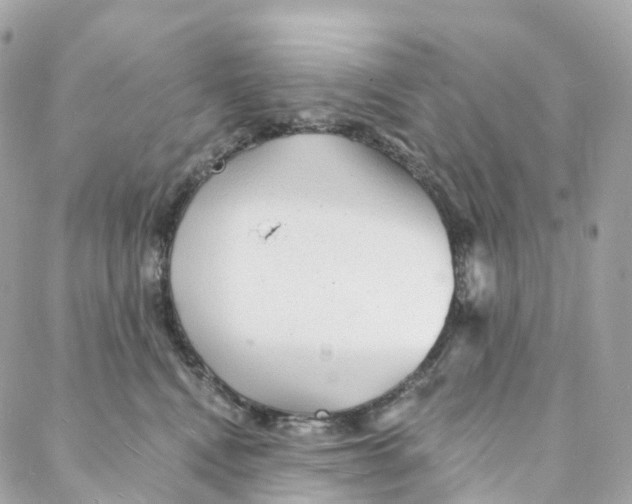 X0000088020472200706011329