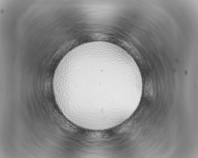 X0000088020473200706011329