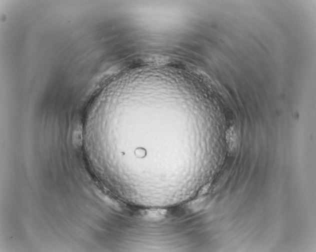 X0000088020474200706011329