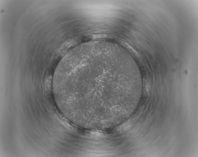 X0000088020475200706011329