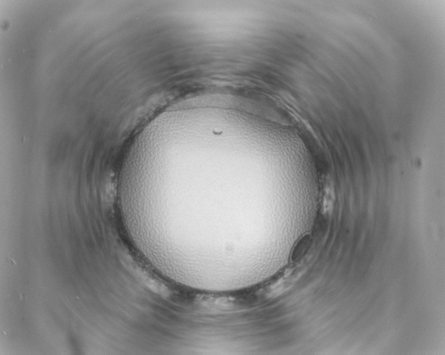 X0000088020476200706011329