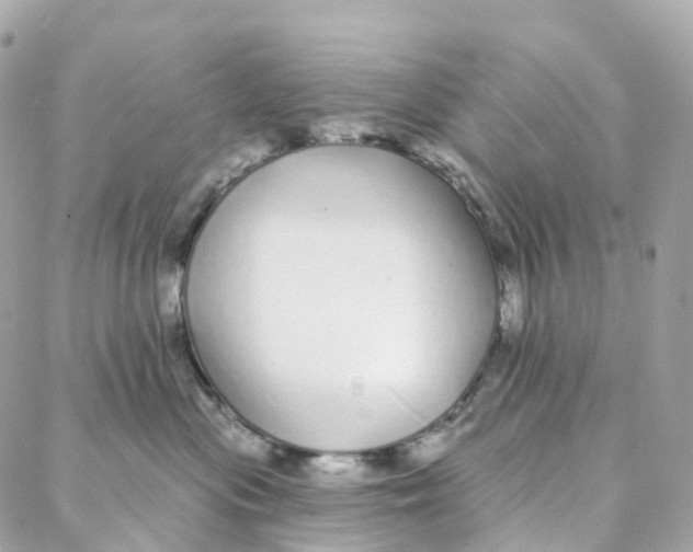 X0000088020477200706011329