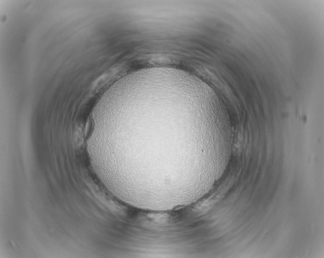 X0000088020478200706011329