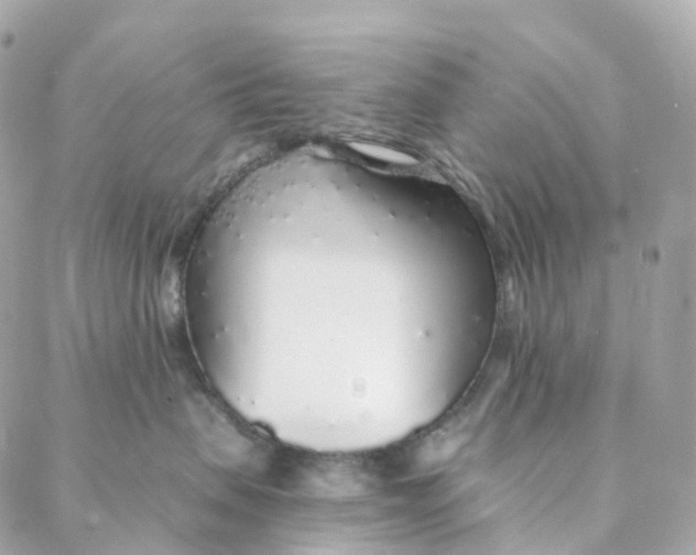 X0000088020479200706011329