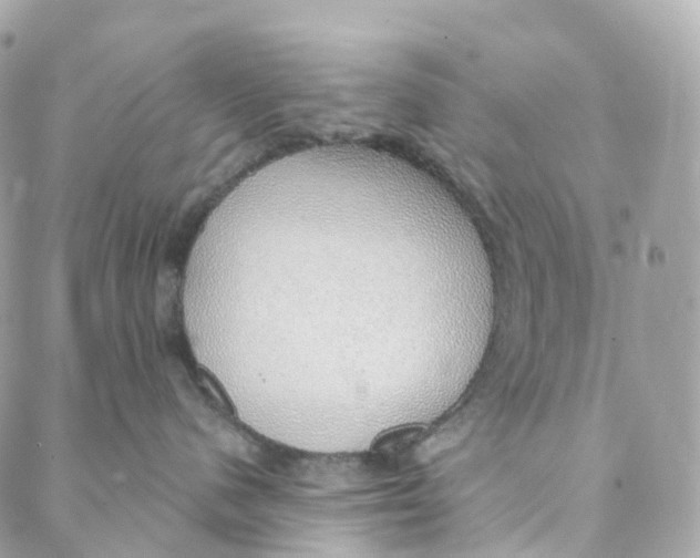 X0000088020480200706011329