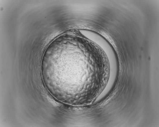 X0000088020481200706011328