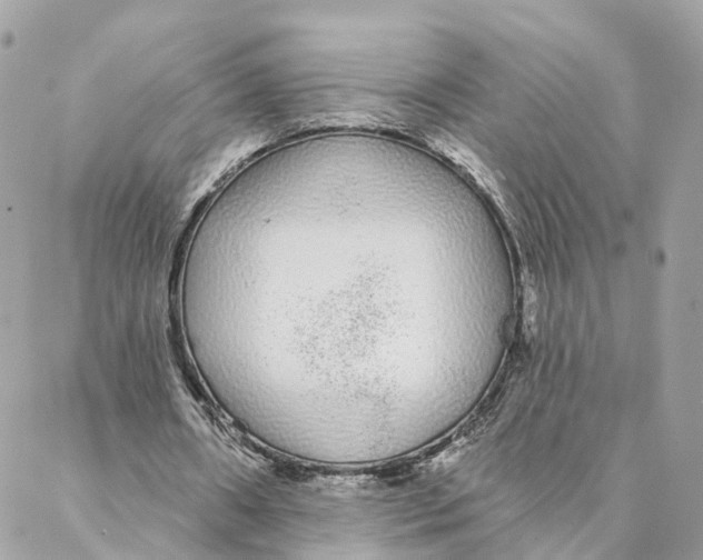 X0000088020482200706011328