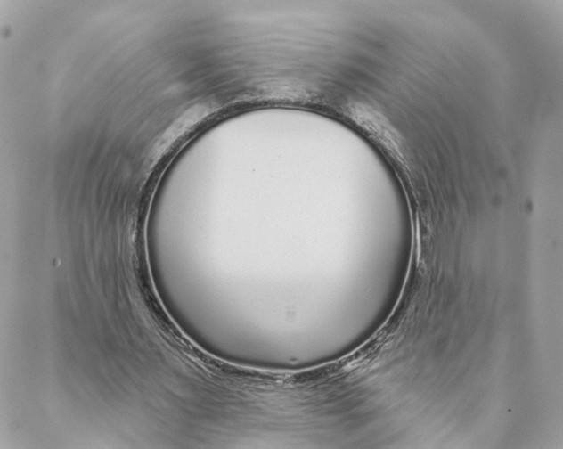 X0000088020483200706011328