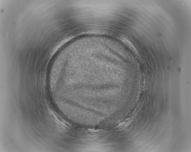 X0000088020484200706011328