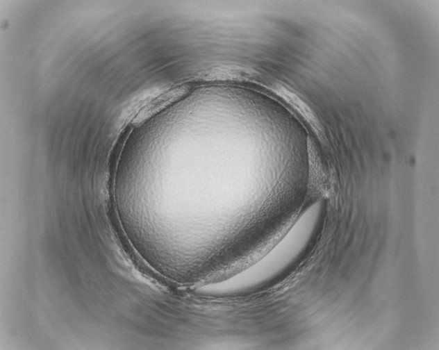 X0000088020485200706011328