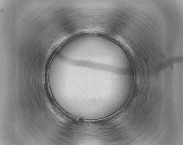 X0000088020486200706011328