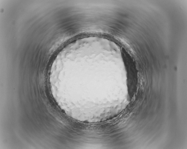 X0000088020487200706011328