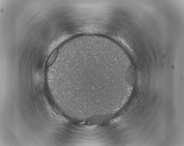 X0000088020488200706011328