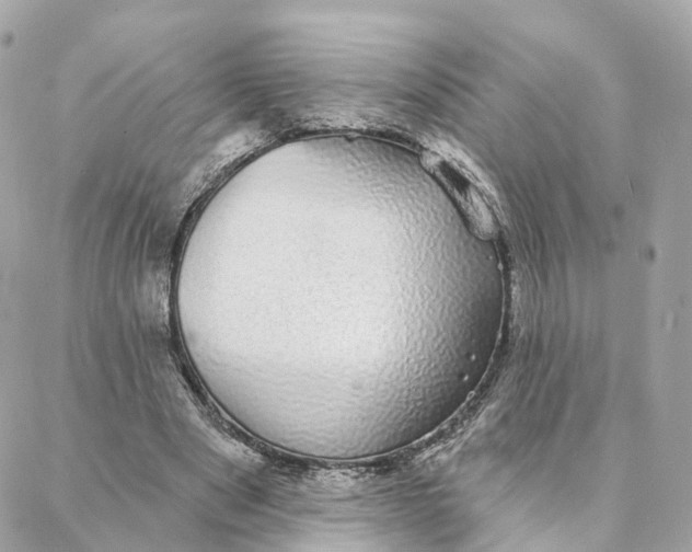 X0000088020489200706011328