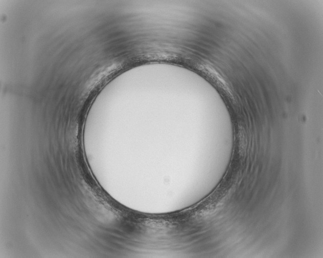 X0000088020490200706011328