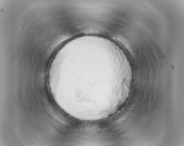 X0000088020491200706011328