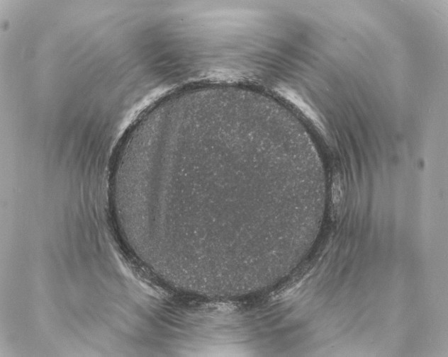 X0000088020492200706011328