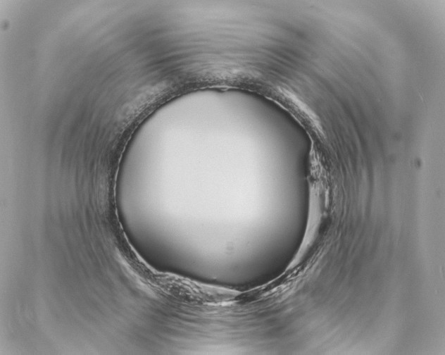 X0000088020493200706011328