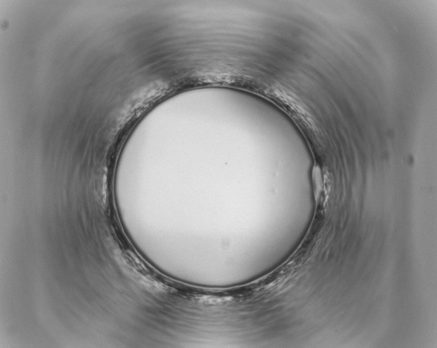 X0000088020494200706011328