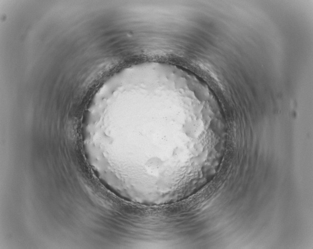 X0000088020495200706011328