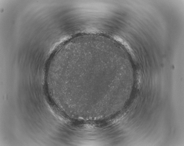 X0000088020496200706011328