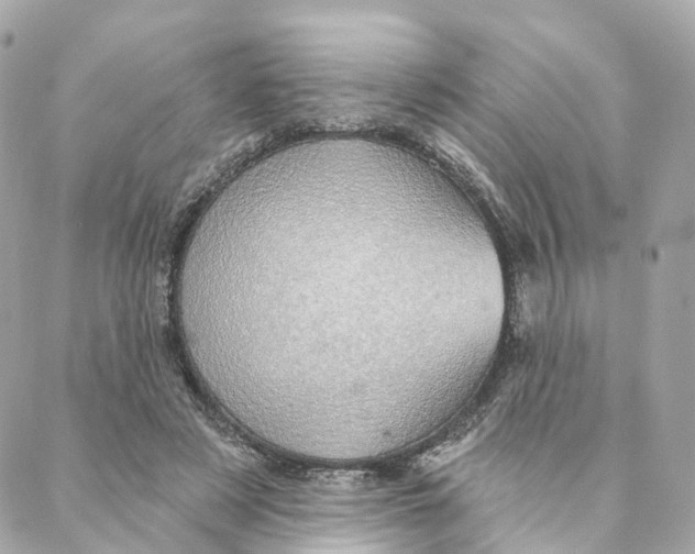 X0000088020497200706011328