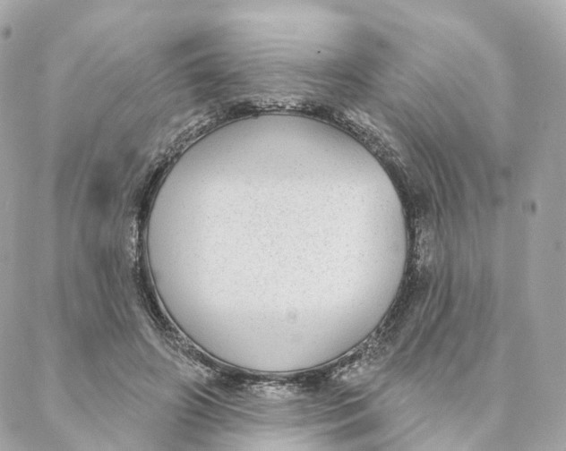 X0000088020498200706011328