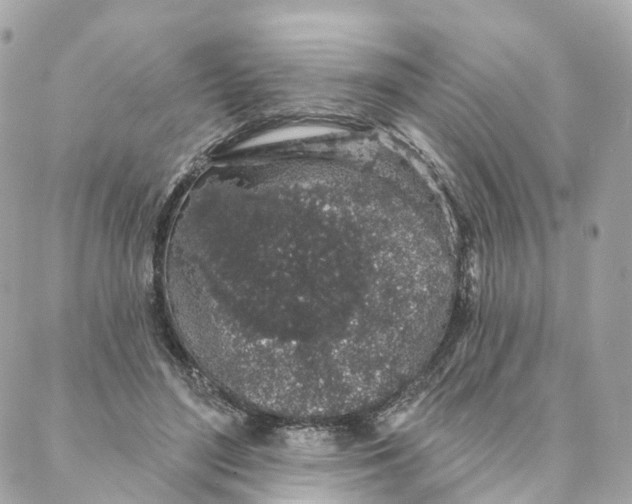 X0000088020500200706011328