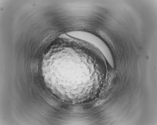 X0000088020501200706011328